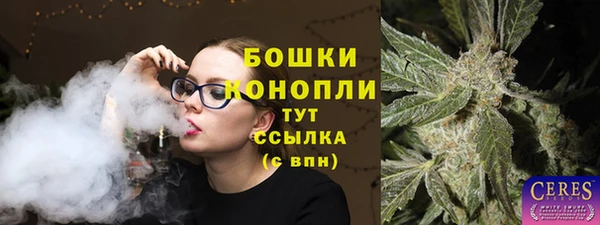 спиды Вяземский