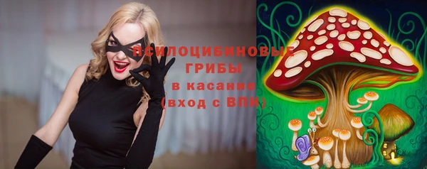 спиды Вяземский