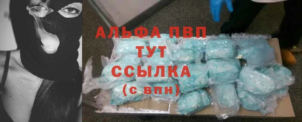индика Вязьма