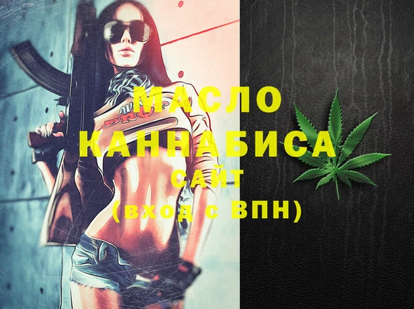 индика Вязьма