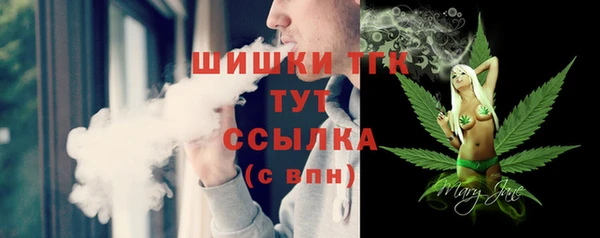 индика Вязьма