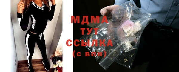 индика Вязьма
