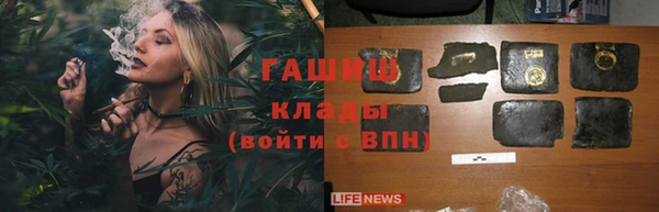 индика Вязьма