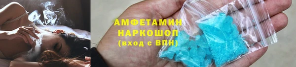 индика Вязьма