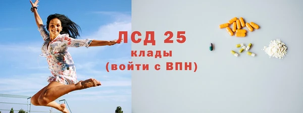 СК Горнозаводск