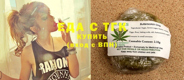 индика Вязьма