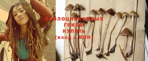 мет Горно-Алтайск