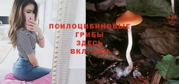 мет Горно-Алтайск