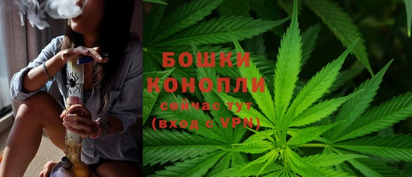 индика Вязьма