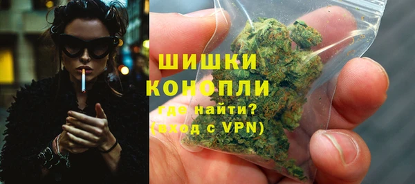 спиды Вяземский
